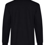 RING SPUN COTTON LONG SLEEVE TEE. ATC2015