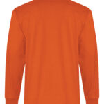 RING SPUN COTTON LONG SLEEVE TEE. ATC2015