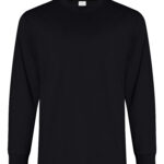 RING SPUN COTTON LONG SLEEVE TEE. ATC2015