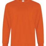 RING SPUN COTTON LONG SLEEVE TEE. ATC2015